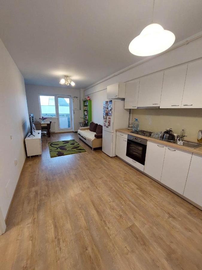 Iris Cluj Apartament Εξωτερικό φωτογραφία